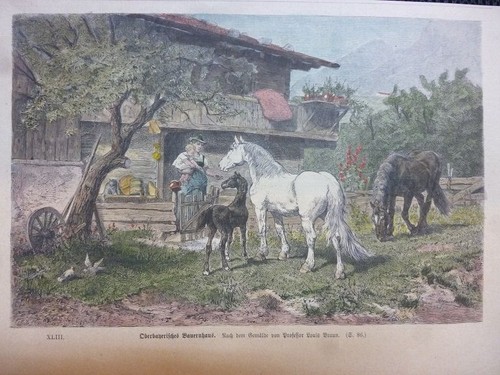 Kolorierter holzstich - holzstich,
